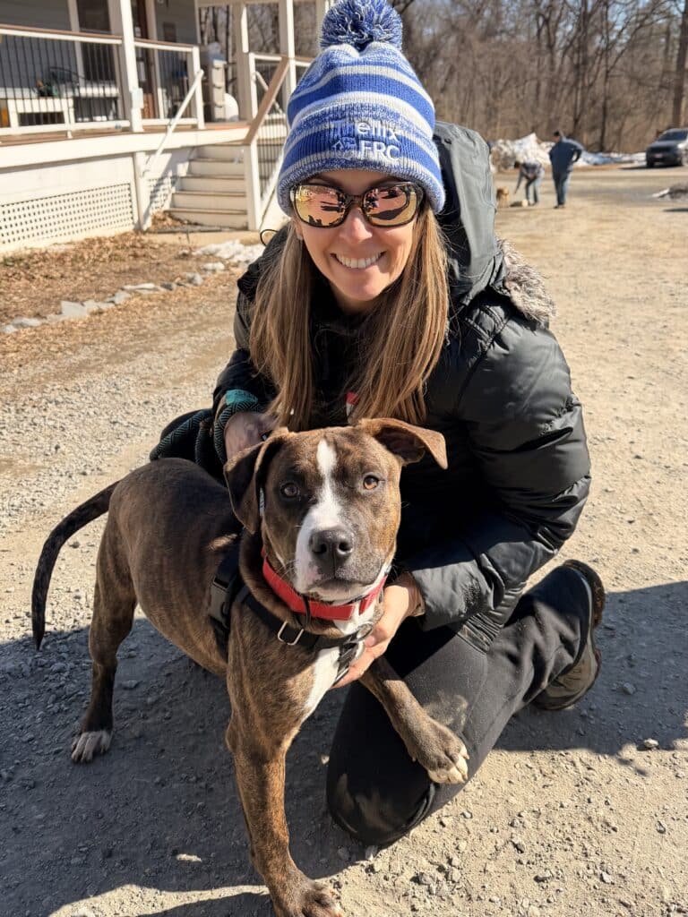 And of course the team spent time walking dogs and socializing cats!