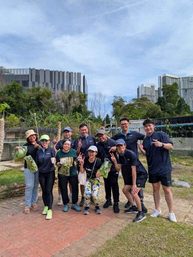 In Malaysia, our team spent the time harvesting, pruning and weeding.