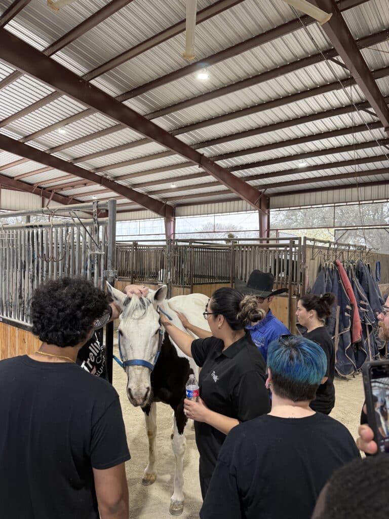 Founded in 2007, Manegait has grown into a nationally recognized therapeutic riding center, serving 150 individuals with disabilities each week while welcoming thousands of riders, volunteers, and partners to the arena each year.