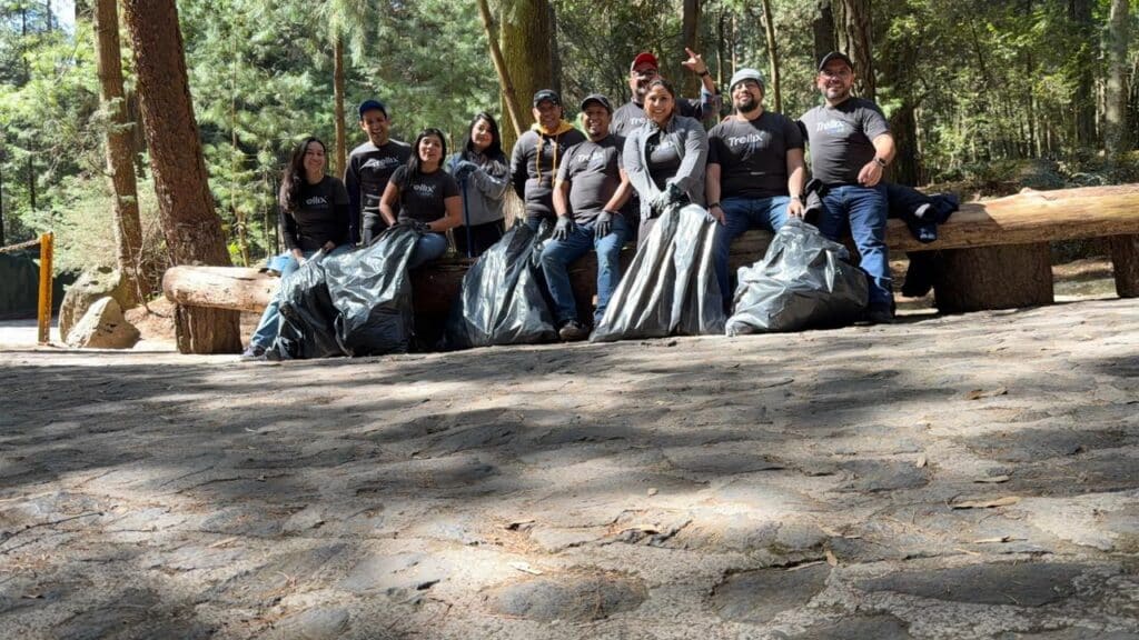 Mexico City park clean up 2026